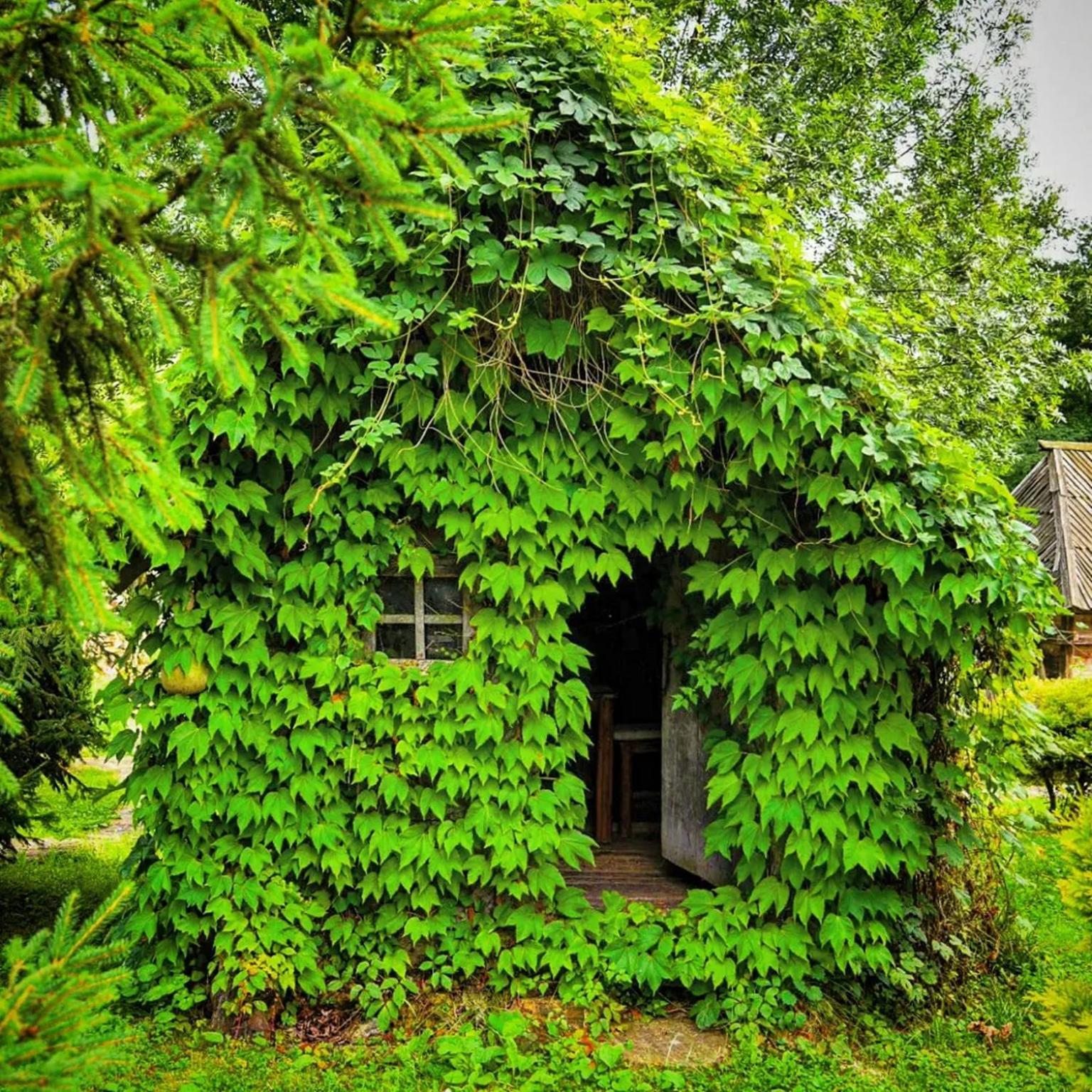 Hotel Kraljevsko Selo Kotromanicevo Doboj Esterno foto